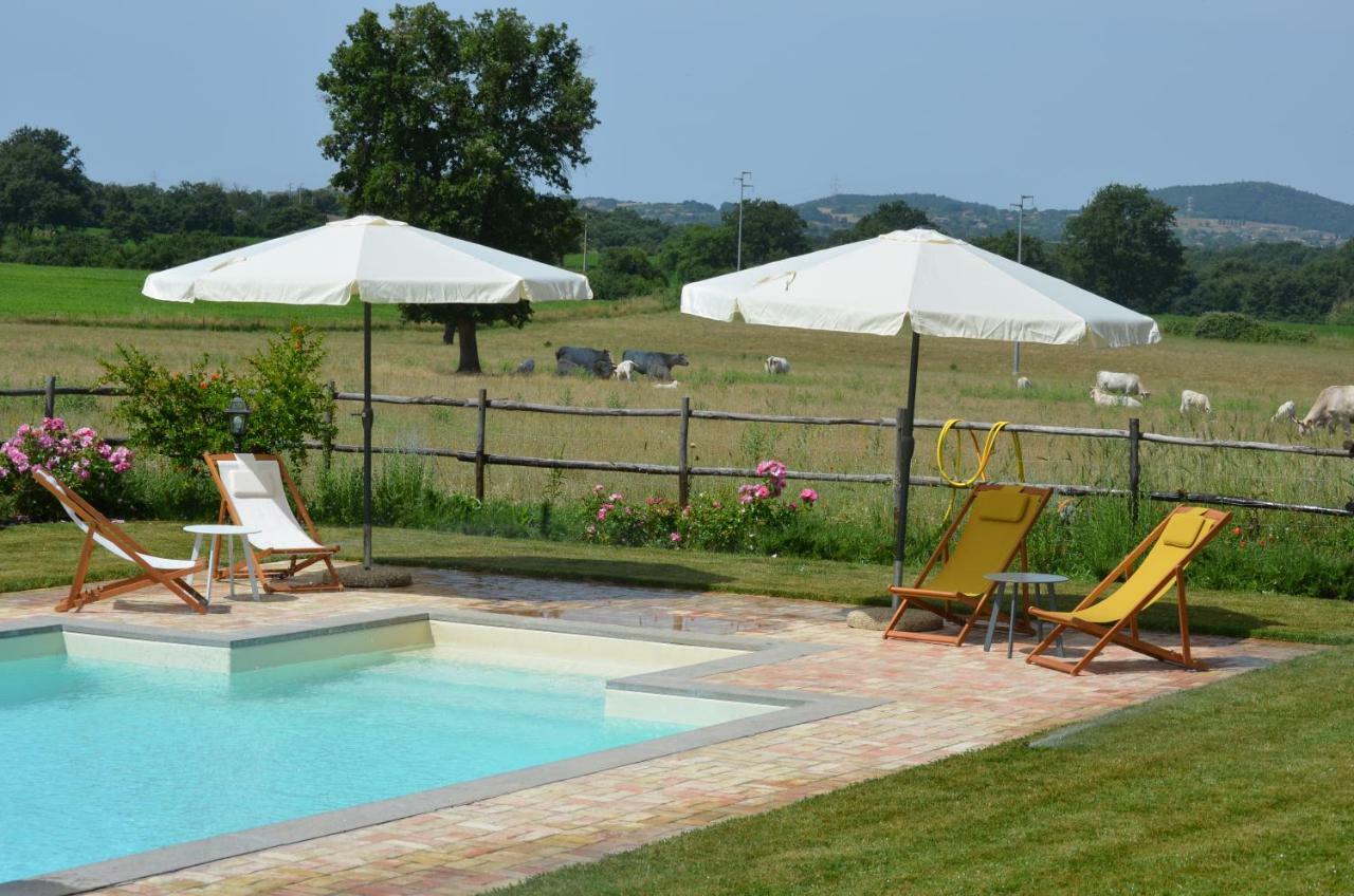 Agriturismo La Ghiga Nepi Екстериор снимка